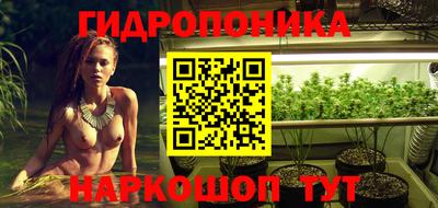 шишки Краснознаменск