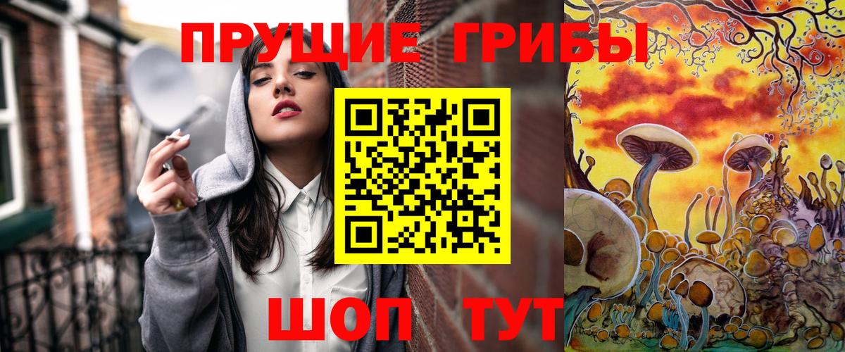 Галлюциногенные грибы Cubensis  Вход с VPN  Клин  Псилоцибиновые грибы мухоморы 